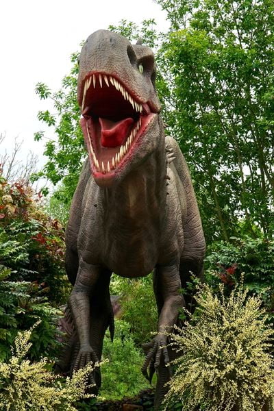 dinozor parkı adana Dinozor Park Adana