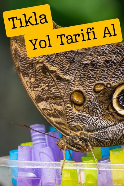 kelebekler vadisi Konya kelebekler vadisi