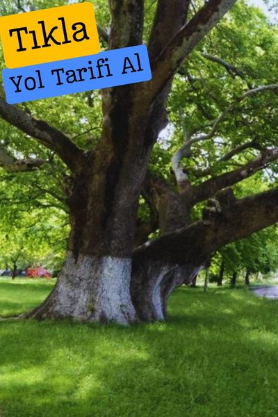 Mersin Cennet cehennem ören yeri