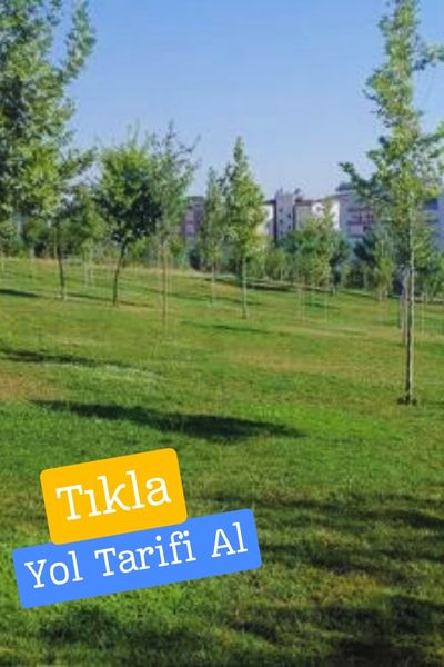 pamukkale travertenleri Denizli Pamukkale travertenleri