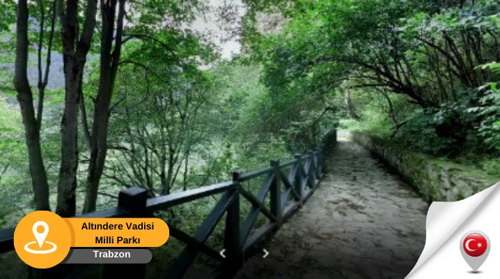 trabzon altındere milli parkı Trabzon Altındere Vadisi Milli Parkı