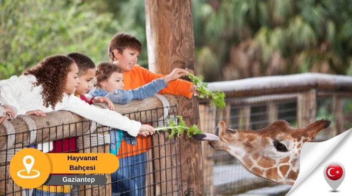 hayvanat bahçesi gaziantep Antep hayvanat bahçesi