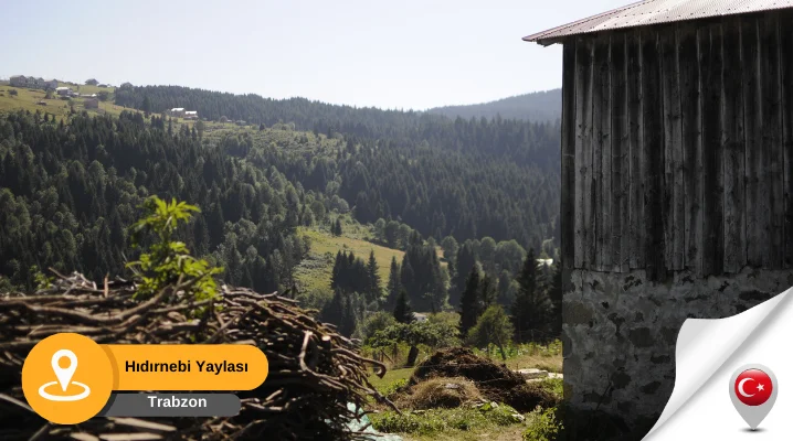 trabzon hıdırnebi yaylası Trabzon Hıdırnebi Yaylası