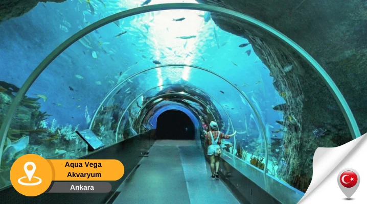 nata vega akvaryum Aqua Vega Akvaryum Mamak