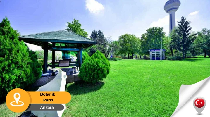 botanik park ankara Botanik Park Çankaya