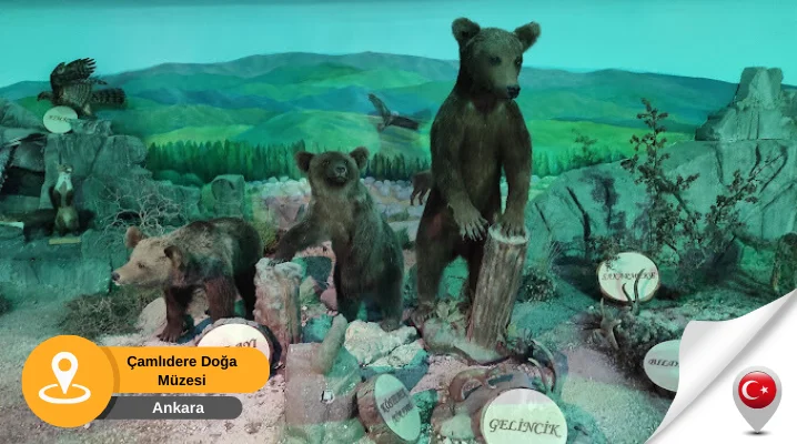Çamlıdere doğa ve hayvan müzesi ankara Çamlıdere Doğa ve Hayvan Müzesi Ankara