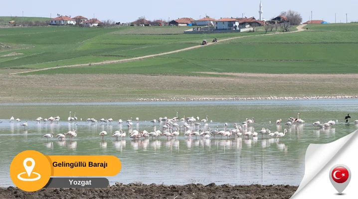 Yozgat Gelingüllü Barajı