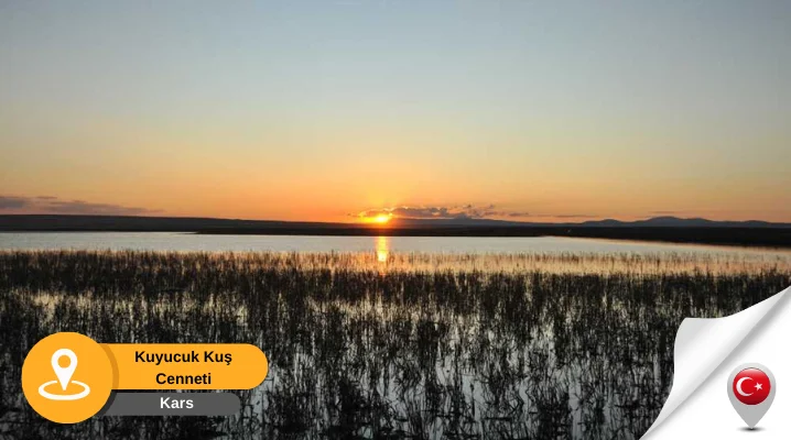 kars kuyucuk kuş cenneti Kuyucuk Kuş Cenneti Kars