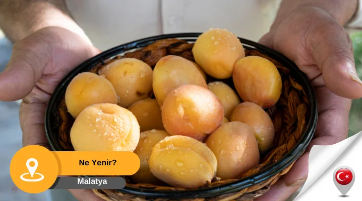 malatya'da ne yenir? Malatya'nın neyi meşhur?