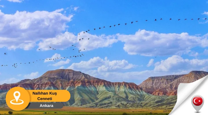 ankara nallıhan kuş cenneti Nallıhan Kuş Cenneti Ankara