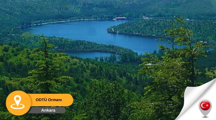 orta doğu teknik Üniversitesi ormanı ODTÜ Ormanı Çankaya